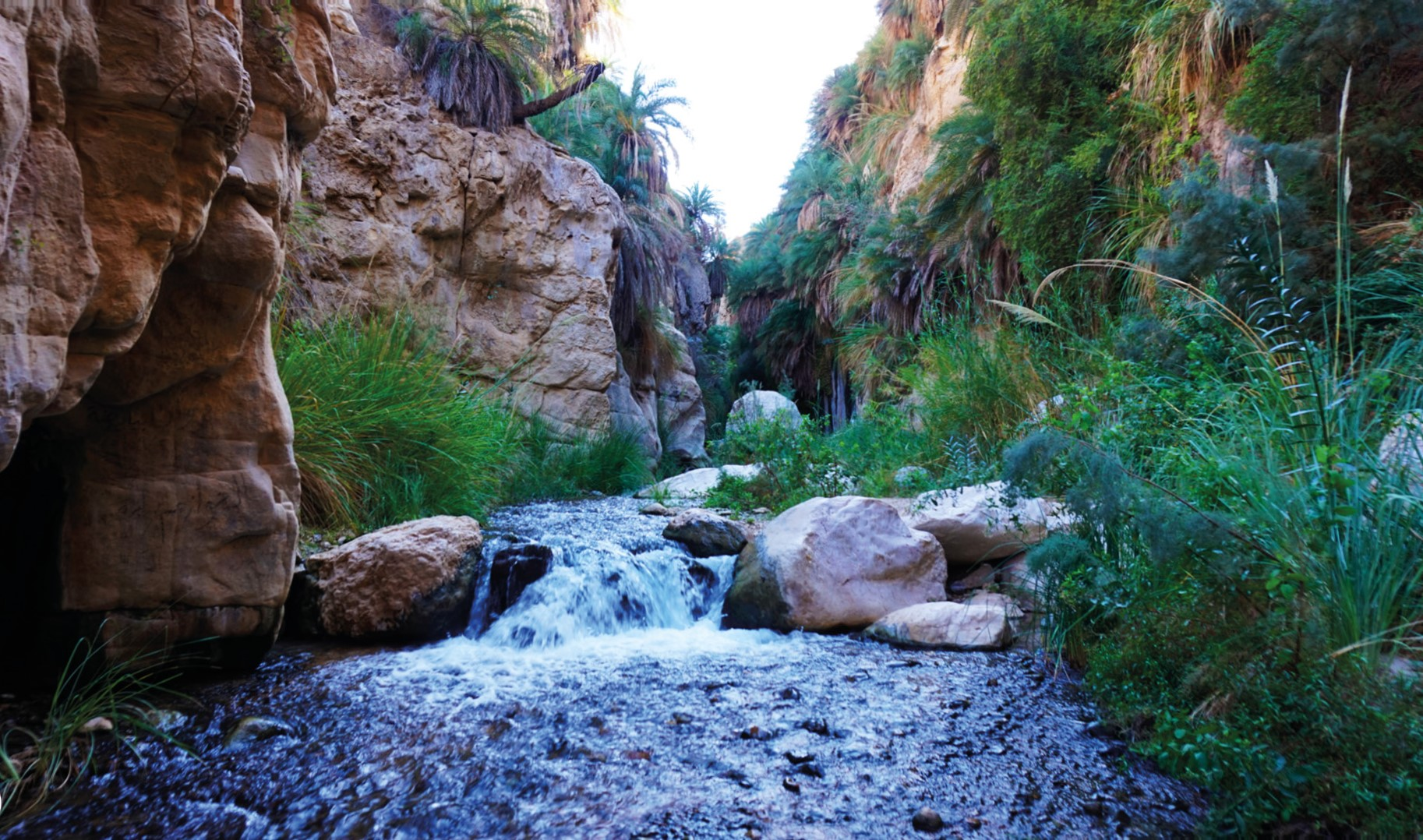 Wadi Bin Hammad