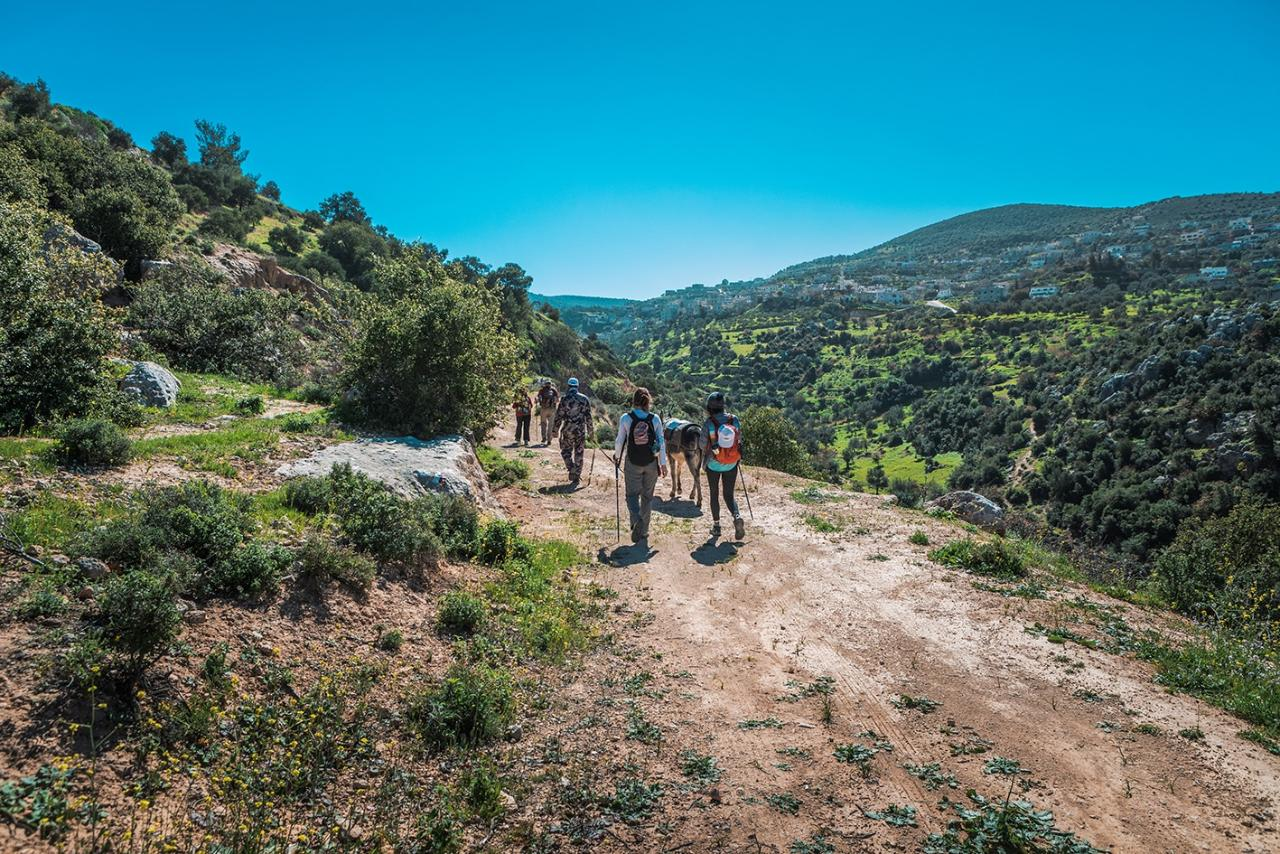 Rock Rose Trail