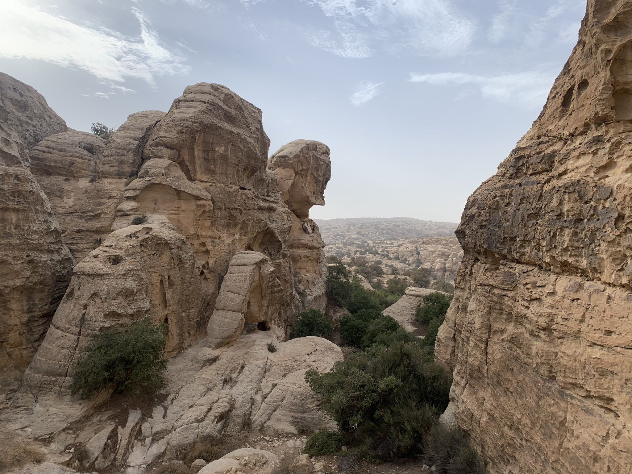 Shaq Al Reesh Trail
