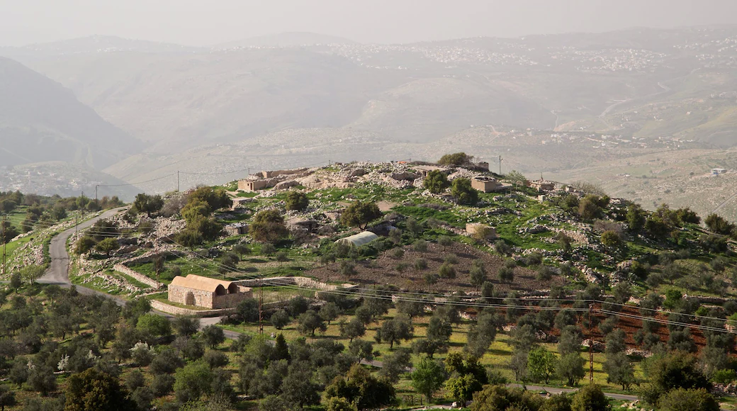 Tal Mar Elias