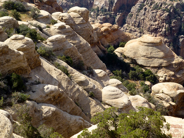 White Dome Trail